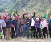 仁懷柑橘種植技術(shù)采購(gòu)_有哪些不為人知又好吃的地方特產(chǎn)