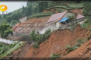 石門柑橘種植技術(shù)視頻_有人在黃昏里拍過照片嗎