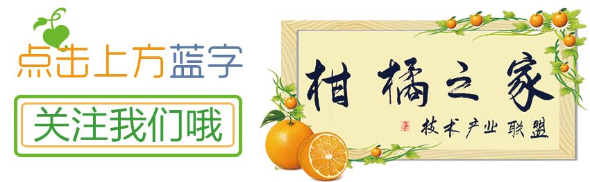 柑橘小老樹復(fù)壯技術(shù)（柑橘小老樹復(fù)壯技術(shù)要點(diǎn)）