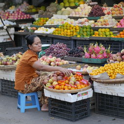 柑橘樹(shù)苗哪里買(mǎi)（柑橘樹(shù)苗哪里買(mǎi)的到）