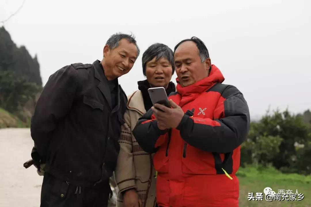 春見(jiàn)柑橘種植手藝視頻大全_在南方農(nóng)村地域種植什么生果效益高